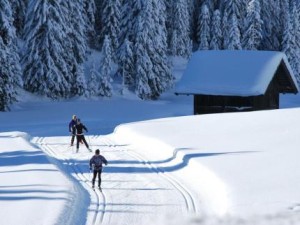 casa-dolomiti-090620161315282108-16